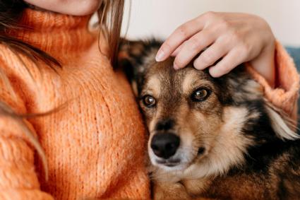 Mujer con prenda naranja acariciando a su perro junto a su pecho