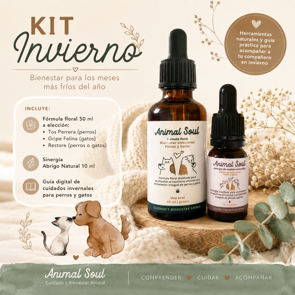 KIT INVIERNO