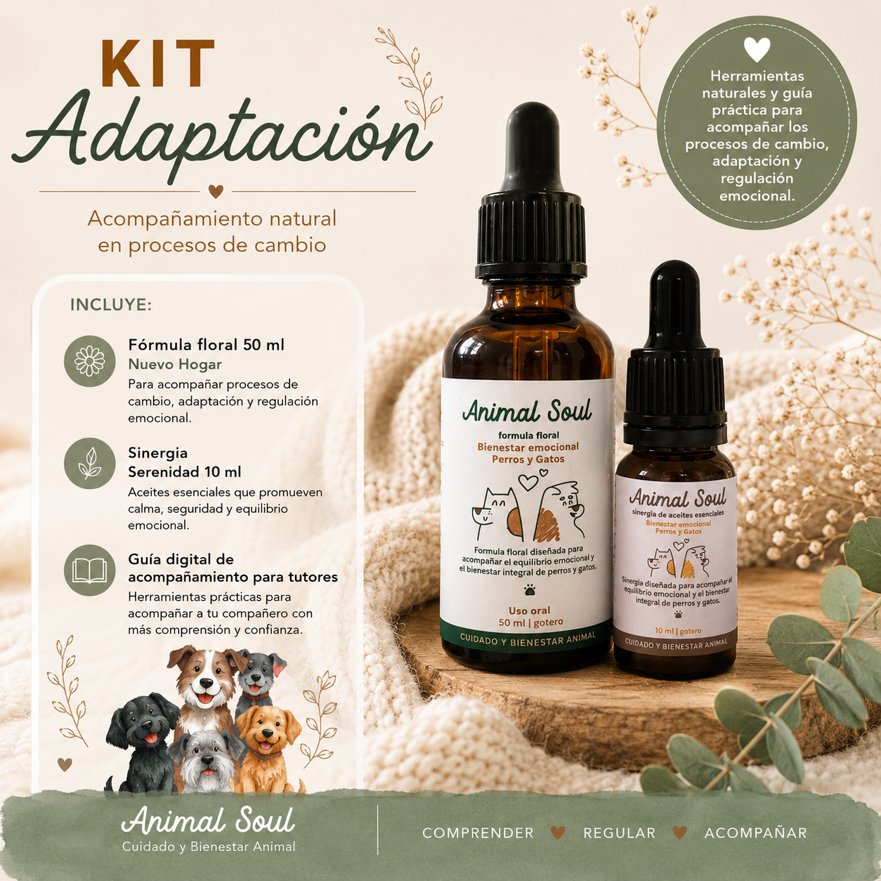 Kit Adaptación