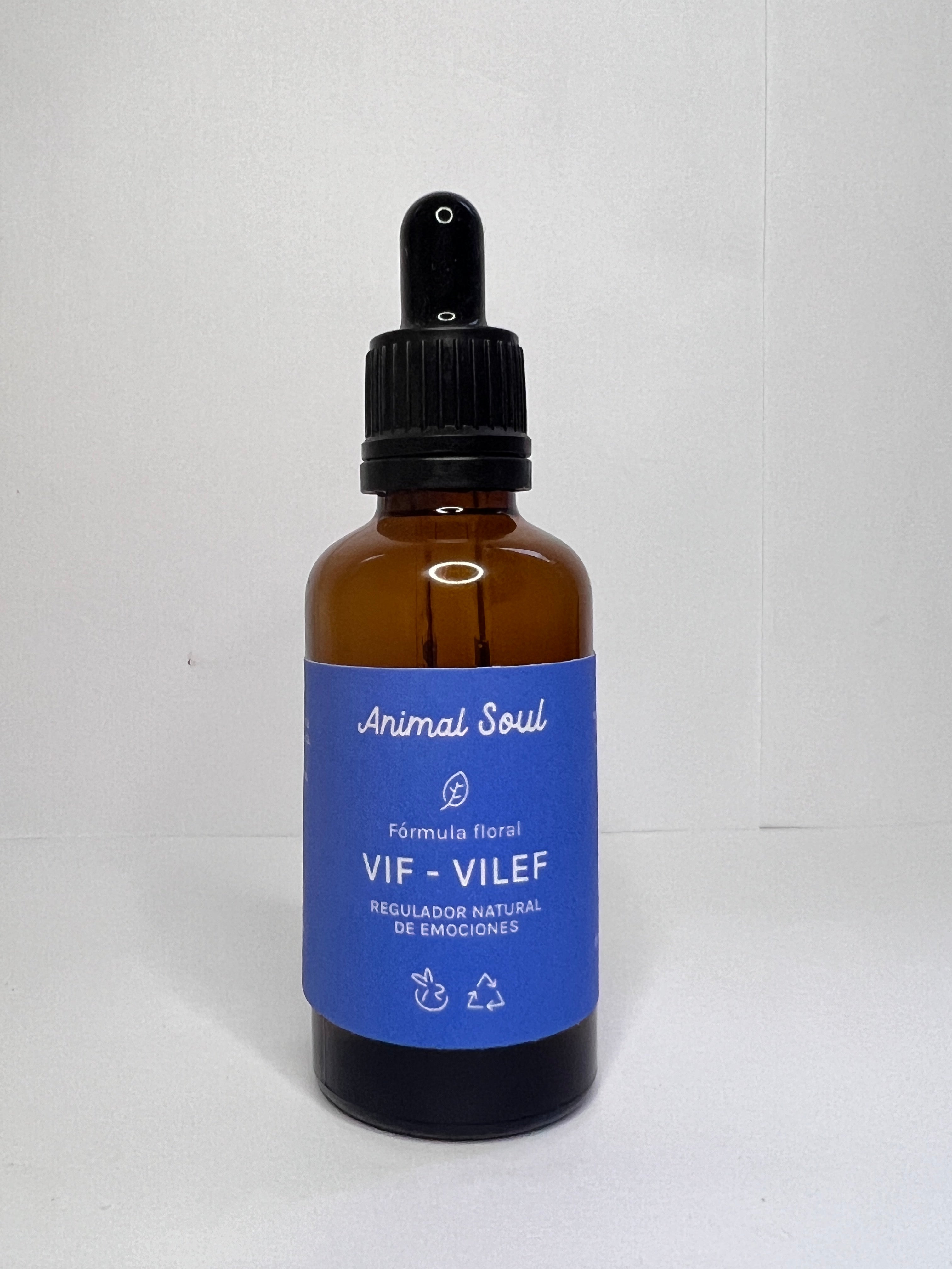 VIF-VILEF