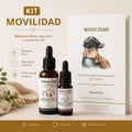 Kit Movilidad